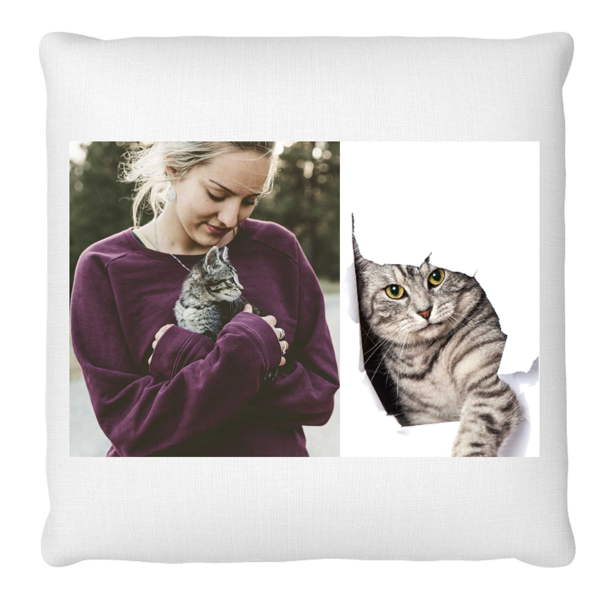 My Dear Willy! 3039 maxil