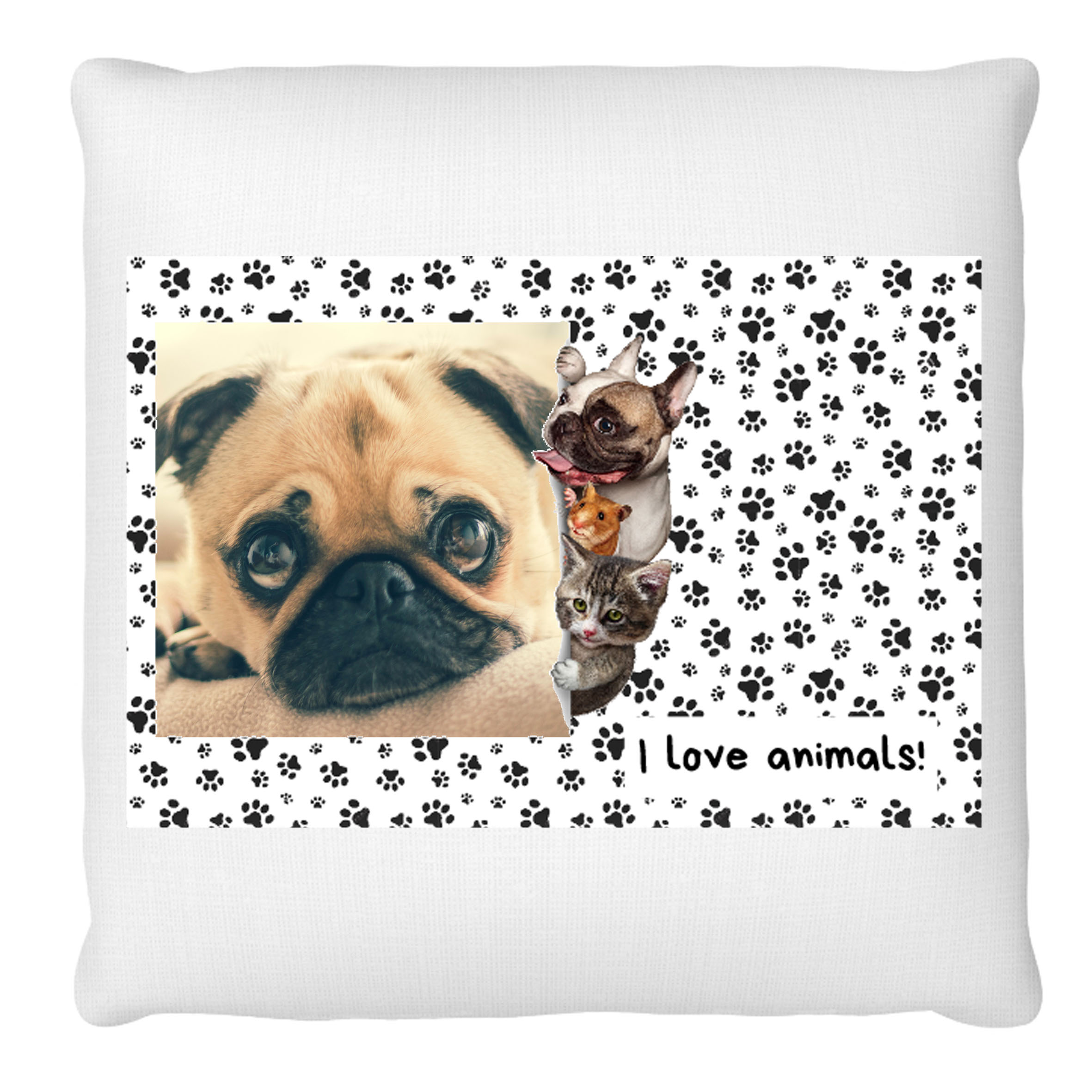 My Favourite Dog 3040 maxil